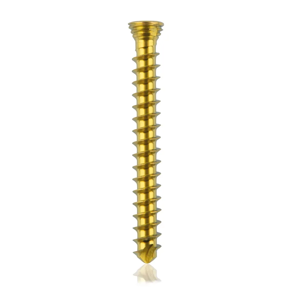 [185534] Titanium locking screw 2.3 x20mm Gold