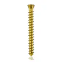 Titanium locking screw 2.3 x20mm Gold