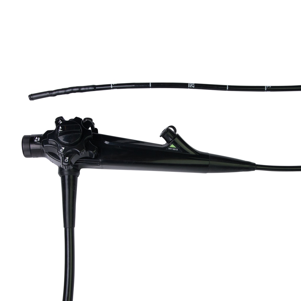 [306178] EickView 100 HD Video Endoscope