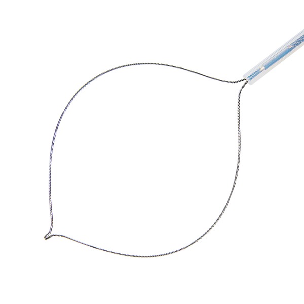 [306422] Endoscopy Polypectomy Snare (Length: 2300mm, Diam.: 1.8mm)