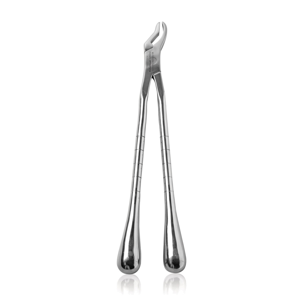 Fragment Forceps (Gooseneck)