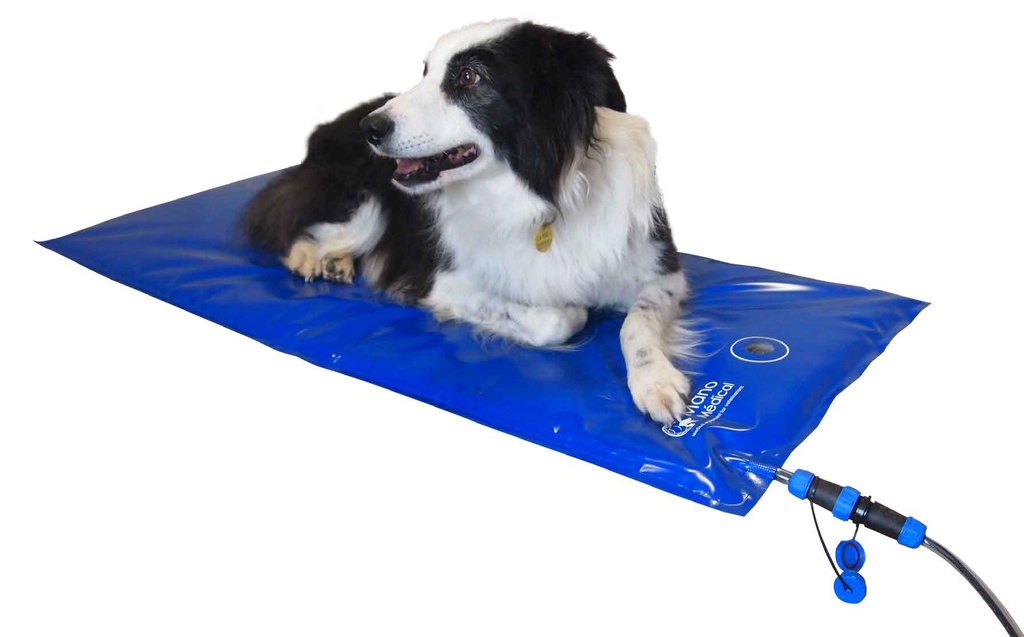 [G300100] Genia Carbon Tech Heat Mat - Table Size